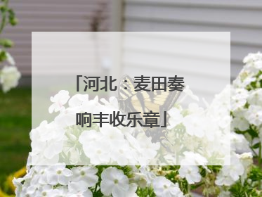 河北：麦田奏响丰收乐章