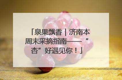 泉果飘香｜济南本周末采摘指南——“杏”好遇见你！