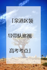 泉港区领导带队巡视高考考点