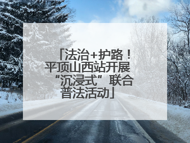 法治+护路！平顶山西站开展“沉浸式”联合普法活动