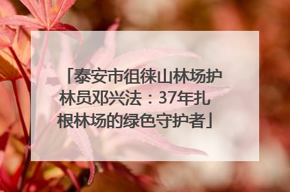 泰安市徂徕山林场护林员邓兴法：37年扎根林场的绿色守护者