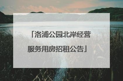 洛浦公园北岸经营服务用房招租公告