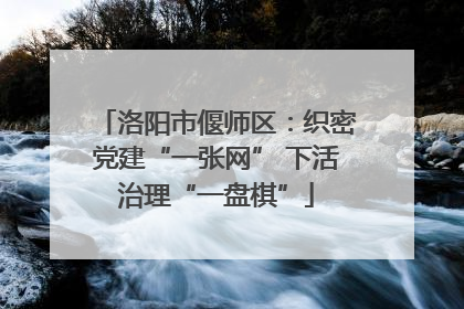 洛阳市偃师区：织密党建“一张网” 下活治理“一盘棋”