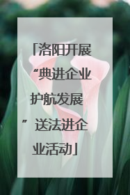 洛阳开展“典进企业 护航发展”送法进企业活动