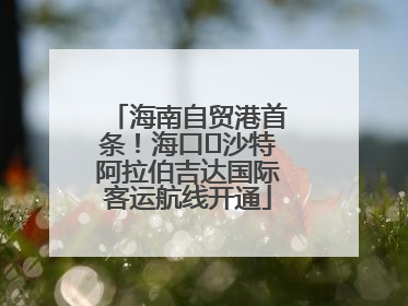 海南自贸港首条！海口⇌沙特阿拉伯吉达国际客运航线开通