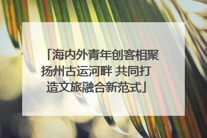 海内外青年创客相聚扬州古运河畔 共同打造文旅融合新范式