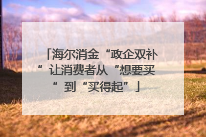 海尔消金“政企双补”让消费者从“想要买”到“买得起”