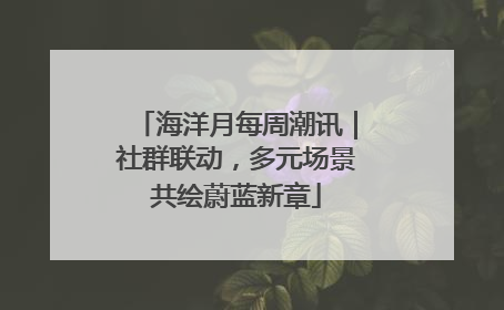 海洋月每周潮讯｜社群联动，多元场景共绘蔚蓝新章