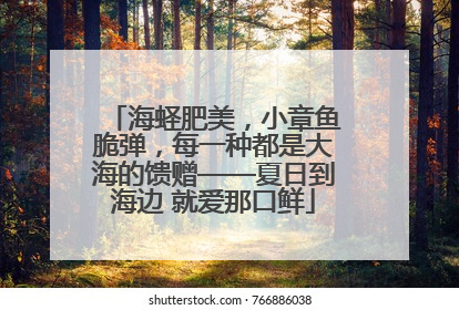 海蛏肥美，小章鱼脆弹，每一种都是大海的馈赠——夏日到海边 就爱那口鲜