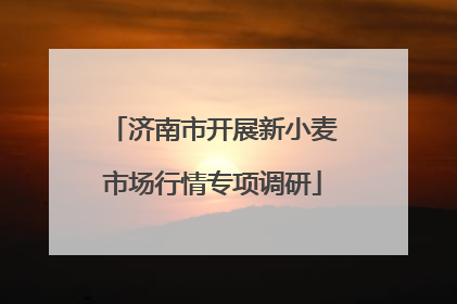 济南市开展新小麦市场行情专项调研