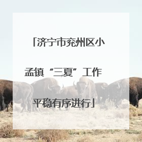 济宁市兖州区小孟镇“三夏”工作平稳有序进行