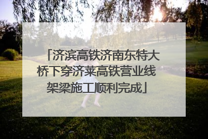 济滨高铁济南东特大桥下穿济莱高铁营业线架梁施工顺利完成