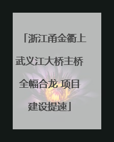 浙江甬金衢上武义江大桥主桥全幅合龙 项目建设提速