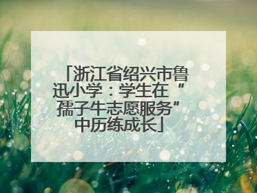 浙江省绍兴市鲁迅小学：学生在“孺子牛志愿服务”中历练成长