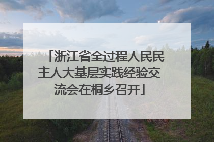 浙江省全过程人民民主人大基层实践经验交流会在桐乡召开