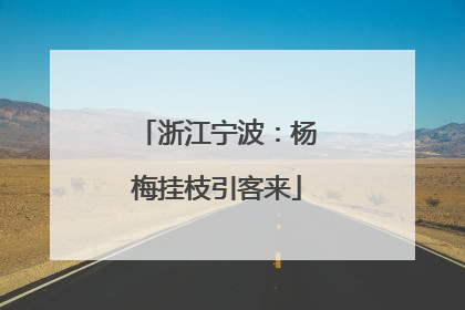 浙江宁波：杨梅挂枝引客来