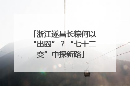 浙江遂昌长粽何以“出圈”？“七十二变”中探新路