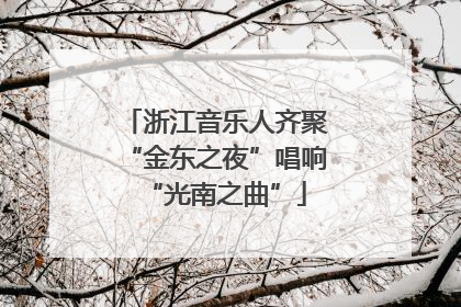 浙江音乐人齐聚“金东之夜”唱响“光南之曲”