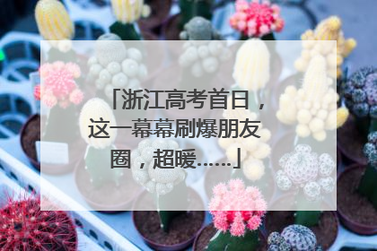 浙江高考首日，这一幕幕刷爆朋友圈，超暖……