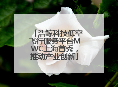 浩鲸科技低空飞行服务平台MWC上海首秀，推动产业创新
