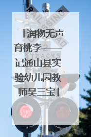 润物无声育桃李——记通山县实验幼儿园教师吴三宝