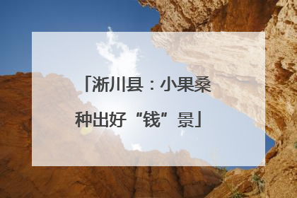 淅川县：小果桑种出好“钱”景