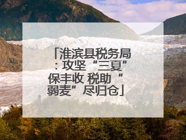 淮滨县税务局：攻坚“三夏”保丰收 税助“弱麦”尽归仓