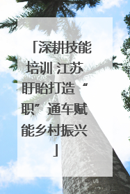 深耕技能培训 江苏盱眙打造“职”通车赋能乡村振兴