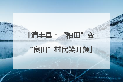 清丰县：“粮田”变“良田”村民笑开颜