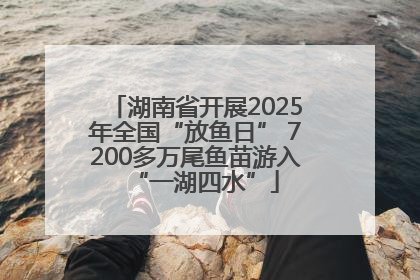 湖南省开展2025年全国“放鱼日” 7200多万尾鱼苗游入“一湖四水”