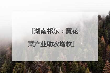 湖南祁东：黄花菜产业助农增收