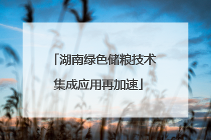 湖南绿色储粮技术集成应用再加速