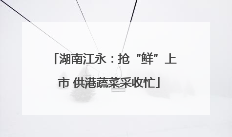 湖南江永：抢“鲜”上市 供港蔬菜采收忙