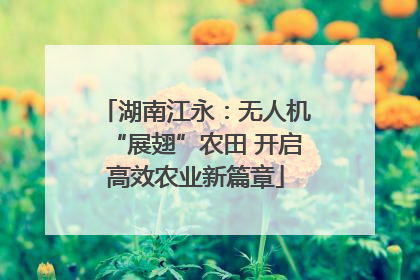 湖南江永：无人机“展翅”农田 开启高效农业新篇章