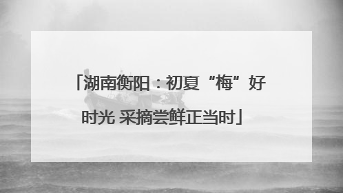 湖南衡阳：初夏“梅”好时光 采摘尝鲜正当时