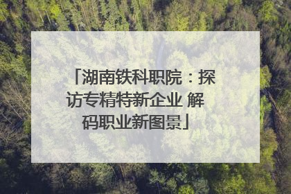 湖南铁科职院：探访专精特新企业 解码职业新图景