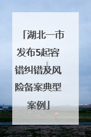湖北一市发布5起容错纠错及风险备案典型案例