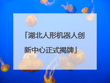 湖北人形机器人创新中心正式揭牌