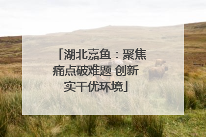 湖北嘉鱼：聚焦痛点破难题 创新实干优环境
