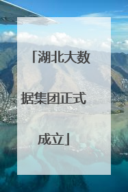 湖北大数据集团正式成立