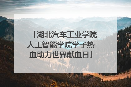 湖北汽车工业学院人工智能学院学子热血助力世界献血日