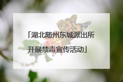 湖北随州东城派出所开展禁毒宣传活动