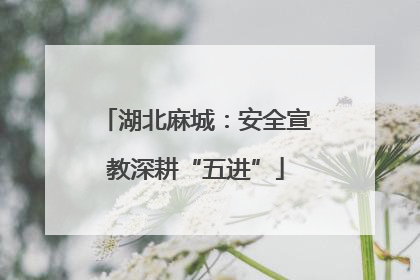 湖北麻城：安全宣教深耕“五进”