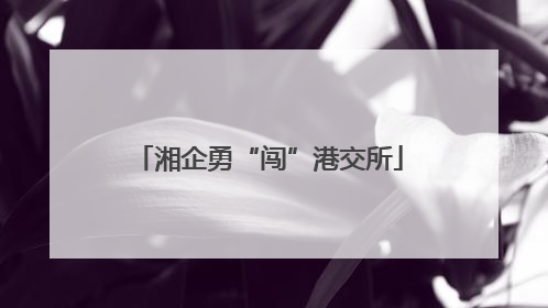 湘企勇“闯”港交所