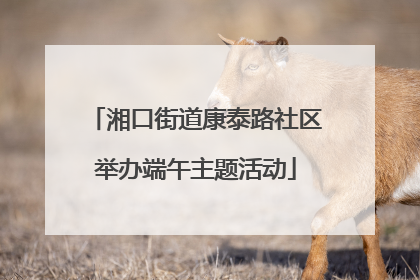 湘口街道康泰路社区举办端午主题活动