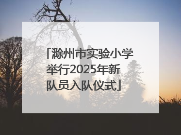 滁州市实验小学举行2025年新队员入队仪式