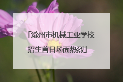 滁州市机械工业学校招生首日场面热烈