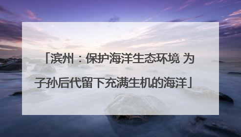 滨州：保护海洋生态环境 为子孙后代留下充满生机的海洋