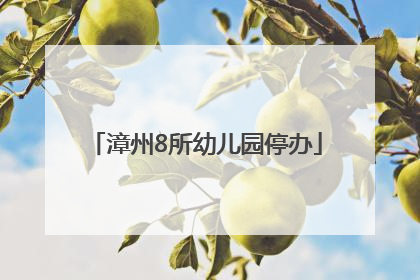 漳州8所幼儿园停办