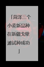 菏泽三个小麦新品种在新疆戈壁滩试种成功